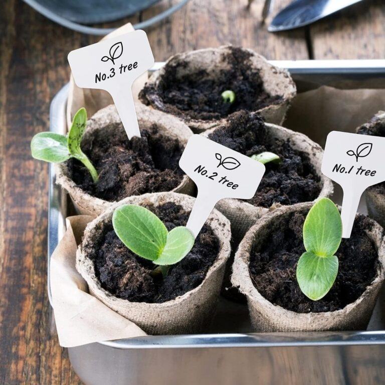 加拿大最佳植物标签推荐